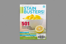 COV_Stainbusters_220